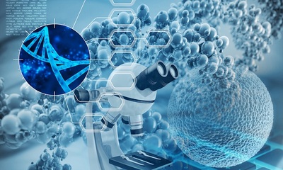 一?？苿摗胺N子”孕出一家“隱形冠軍”